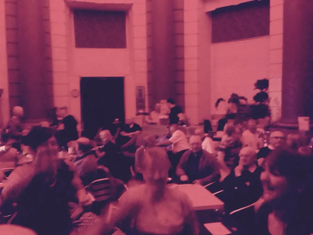 Audience watching a live singer